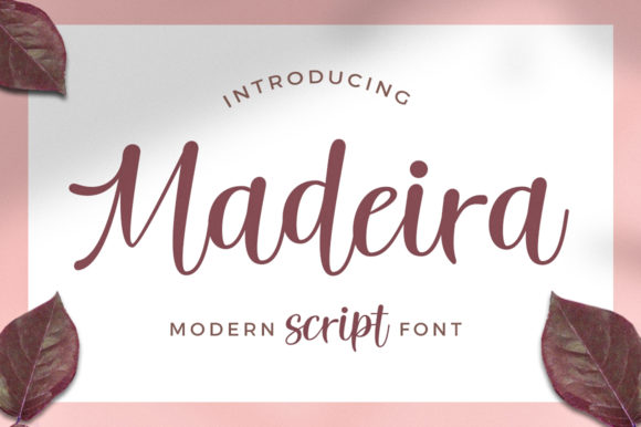 Discover the Elegance of Madeira: A Charming Script Font
