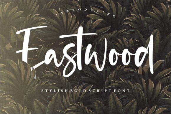 Enhance Your Brand with Eastwood: A Stylish Script Font