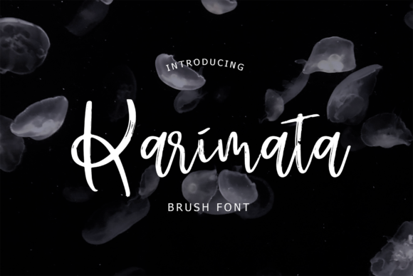 Enhance Your Campaigns with Karimata Font