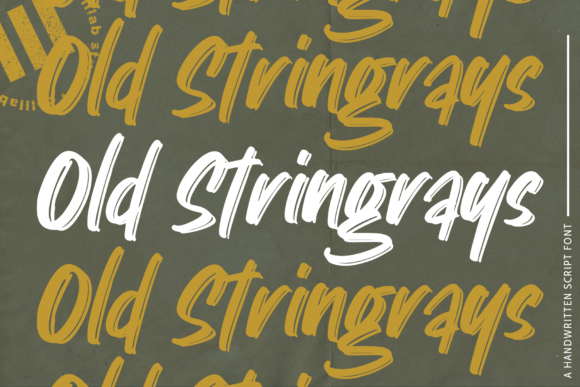 Old Stringrays: A Handwritten Font for Business Charm